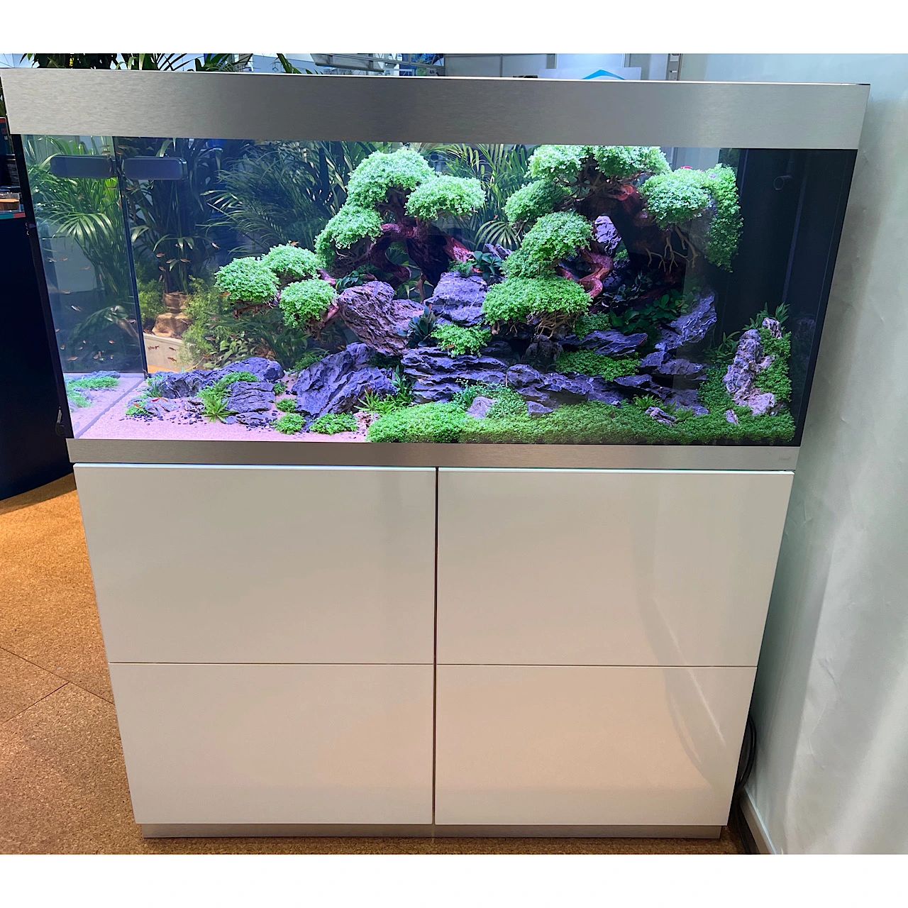 Hold og opstart af akvarium